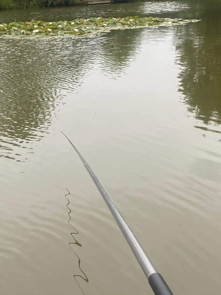 Blundells Fishery